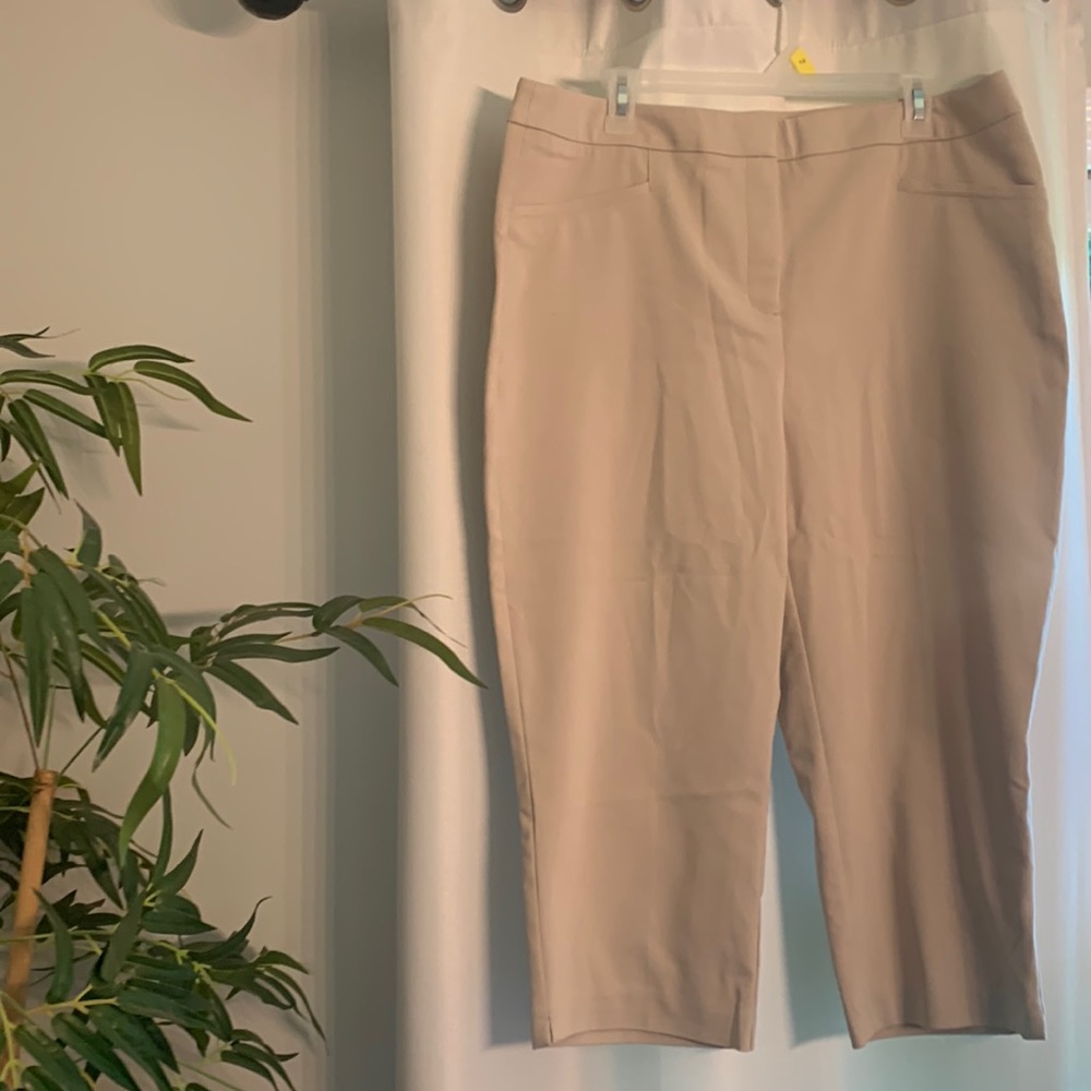 Chico’s khaki pants-NWOT